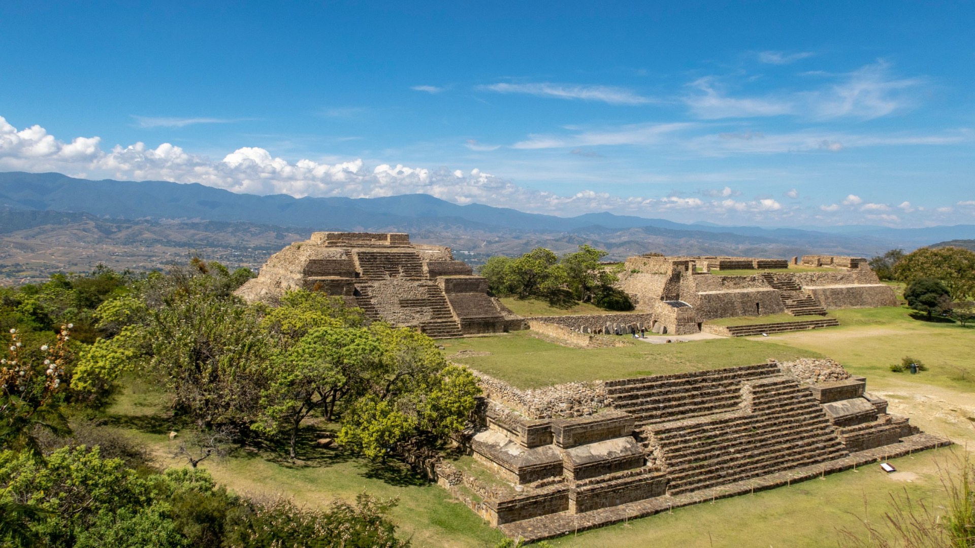 Monte Albán y Alebrijes.